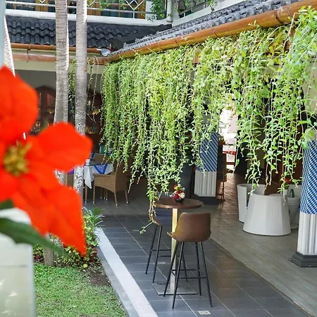 Raintree Boutique Villa & Gallery-2
